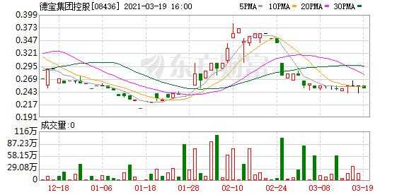 关于德宝集团控股分析的信息