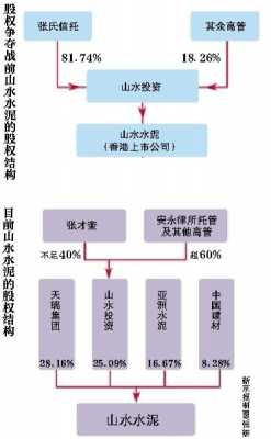 山水集团持股比例（山水集团股东比例）-图2