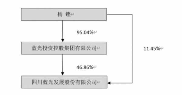 控股股东集团（集团控股人什么意思）