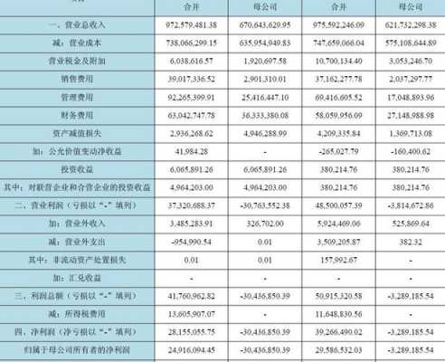 控股公司亏损账务处理（控股公司亏损账务处理流程）-图2