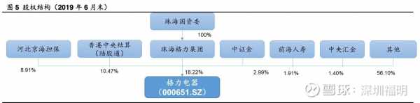 格力控股集团股份构成（格力集团股份比例构成）-图2