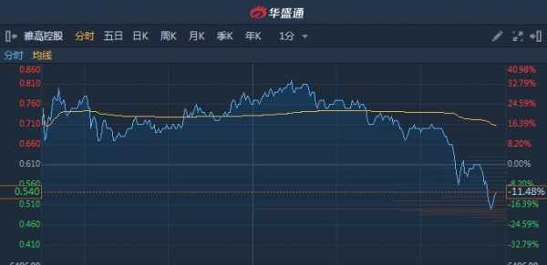 雅高国际控股（雅高控股03313）