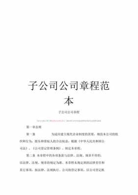 公司章程控股子公司（公司章程控股子公司怎么办）-图2