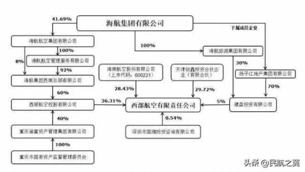 海航的持股（海航持股比例）-图3