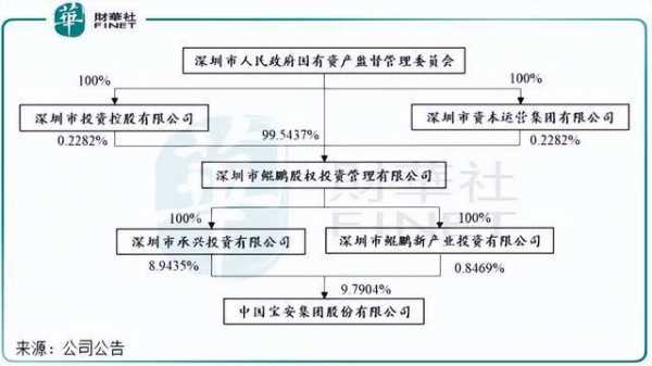 中国宝安集团控股（中国宝安集团控股股东）