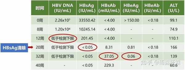 hbsag最新持股（hbsag偏高）-图2