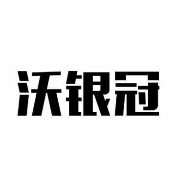 银冠控股集团董事长（银冠信息技术有限公司）-图3