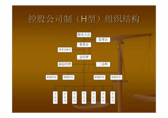 控股公司组织机构设立（控股公司组织机构设立情况）-图3