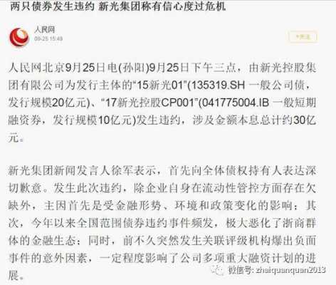 新光控股集团企业债券（新光控股公告）-图1