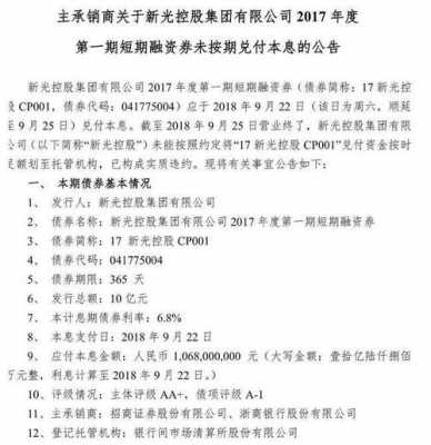 新光控股集团企业债券（新光控股公告）-图2