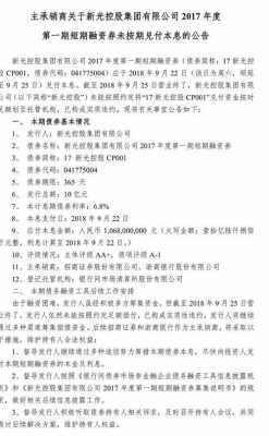 新光控股集团企业债券（新光控股公告）-图3