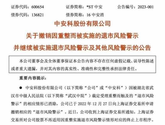 中安消参股或控股公司（中安消为什么被st）-图2