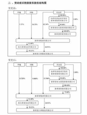 互相持股协议（互相持股股权结构图）-图3