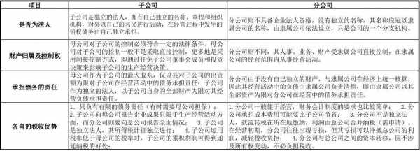 控股企业和子公司（子公司和控股公司区别）-图3