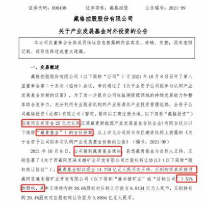 西藏矿业基金持股年报（西藏矿业基金持股年报公示）-图2