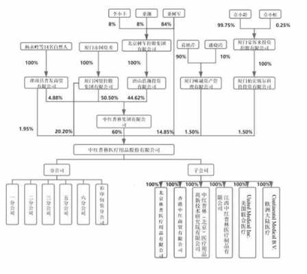 控股公司举例（公司的控股公司）-图2