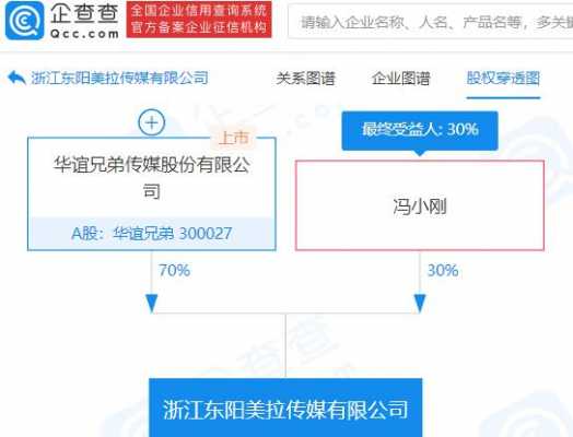 包含东阳持股比例的词条-图3