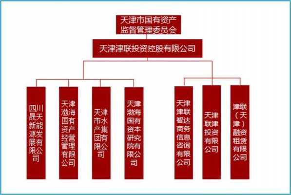 天津津联投资控股（天津津联投资控股有限公司什么时候更名邱荣杰）-图2