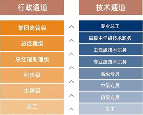 控股师学什么专业（控股人是什么职位）-图2