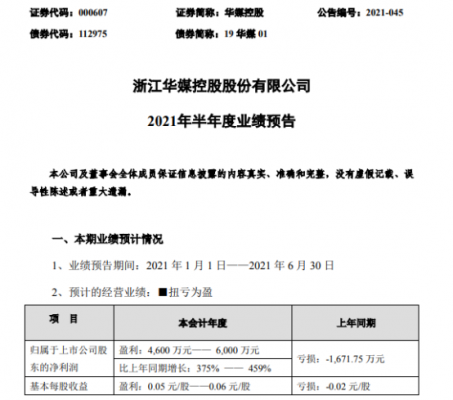 华媒控股年报（华媒控股2021消息）-图1