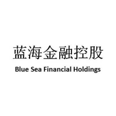 关于蓝海金融控股收益的信息