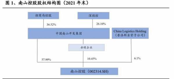 南山控股的股权结构（南山控股前身）