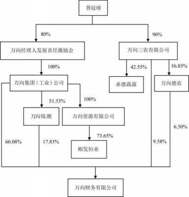 万向控股有上市（万向控股下属企业有哪些）-图2