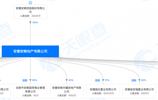 安粮控股股份（安粮控股股份构成）-图3