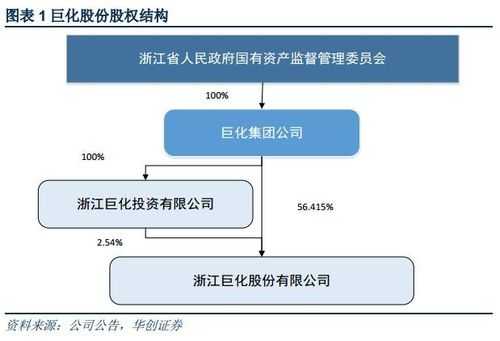 机构持股巨化股份（机构持股巨化股份什么意思）-图3