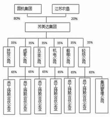 泰州国企员工持股比例（国有企业员工持股比例）