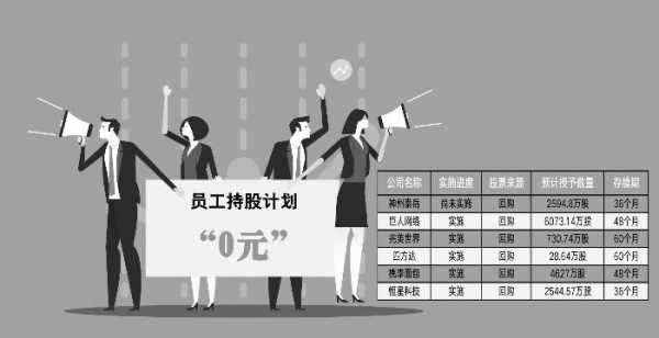 母公司员工持股（母公司持股100%）