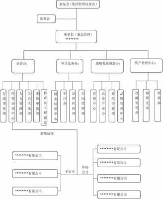 控股集团架构（控股集团公司）-图3