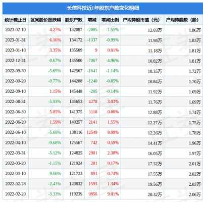 长信科技持股（长信科技10大股东）-图3