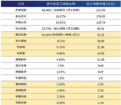 员工持股最高股东比例（员工持股比例最高多少）-图3