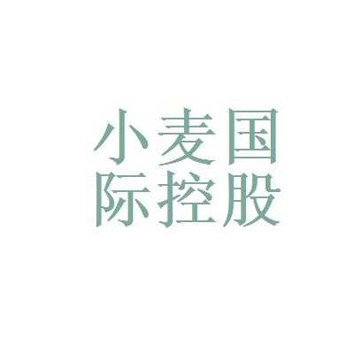 小麦金融控股的简单介绍-图3