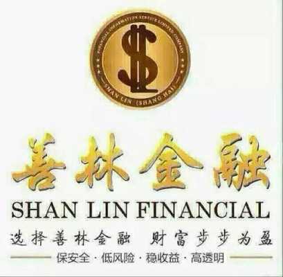 善林金融实际控股人（善林金融抓了多少业务员）