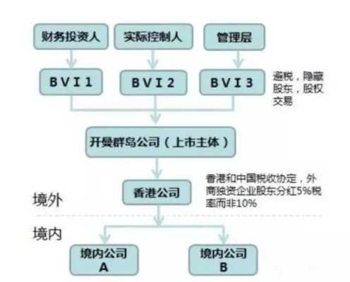 包含bvi公司持股国内股权的词条-图1